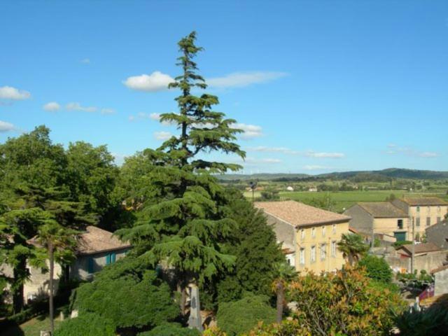 Chambres D'Hotes Le Clos De Venes Saint-Couat-dʼAude Eksteriør billede